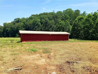 1617 Elk Fork Rd, Gandeeville, WV 25243 - photo 6