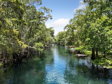 28262 29th Loop, Branford, FL 32008 - photo 6