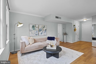 6613 E Wakefield Dr unit A1, Alexandria, VA 22307 - photo 5