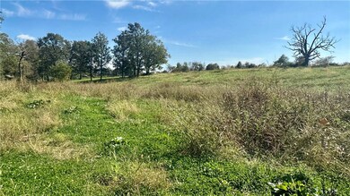 3089 Buck Ave, Tontitown, AR 72762 - photo 4