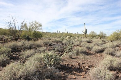 standing on lot looking West