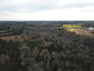 50.45 Acres Trawick Rd, Dothan, AL 36301 - photo 5