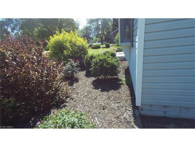 Landscaped yard