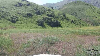 2 Snake River Rd, Asotin, WA 99402 - photo 5