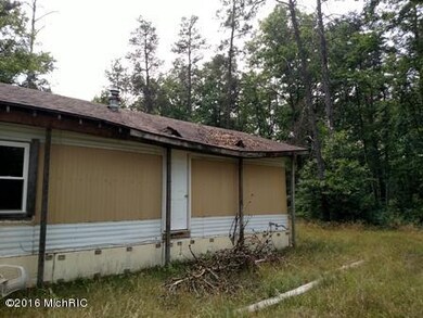 1415 W Coolidge St, Bitely, MI 49309 - photo 5