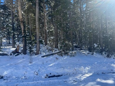 0 Falcon Ct unit CBME unit c lots 68, Brian Head, UT 84719 - photo 3