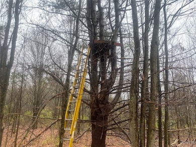 0 Gillies Hill Rd unit S1649074, Birdsall, NY 14822 - photo 4