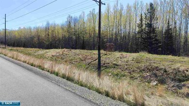 TBD Hwy 115, Tower, MN 55790 - photo 4