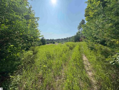 Lot #6 E Bellinger Rd, Cedar, MI 49621 - photo 7