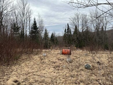 1602 Morin Rd, Guildhall, VT 05905 - photo 4