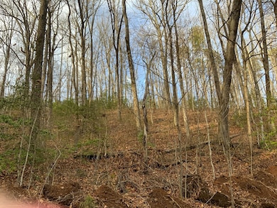 Lot 8 Ivy Log Dr, Murphy, NC 28906 - photo 2