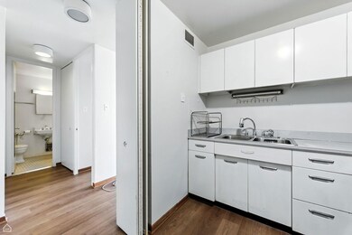 University Park unit 825N, Chicago, IL 60615 - photo 5