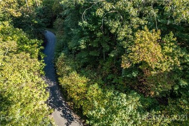34 Forest Spring Dr unit 32, Asheville, NC 28804 - photo 6