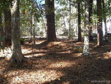 L.22&23 Pebble Creek Cir, Ozark, AL 36360 - photo 3