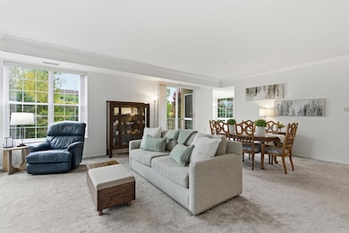 600 Greenhaven Dr unit 213, Burnsville, MN 55306 - photo 5