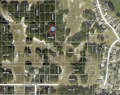 0 Del Mar Dr, Lady Lake, FL 32159 - photo 3
