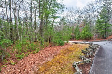 Lot 14 My Forest Trail, Morganton, GA 30560 - photo 6