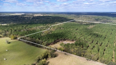 TBD Wolf Rd, Pittsburg, TX 75686 - photo 4