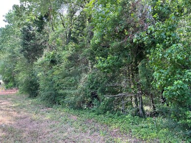 0000 Farm To Market Road 2864, Nacogdoches, TX 75965 - photo 2