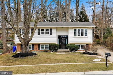 13415 Tamarack Rd, Silver Spring, MD 20904 - photo 3