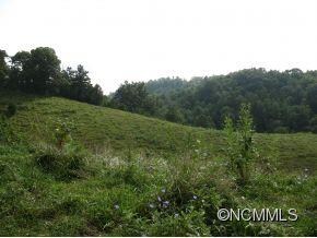 More Pasture or Homesites