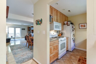 196 Chestnut Ave unit I, Jamaica Plain, MA 02130 - photo 4
