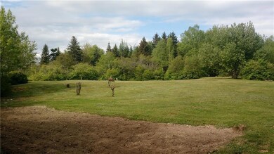 Garden plot and established grape vines!