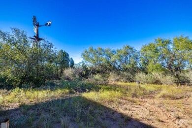 0 Other unit 129666, Robert Lee, TX 76945 - photo 6