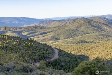 5 Usfs 5350, Chelan, WA 98816 - photo 5