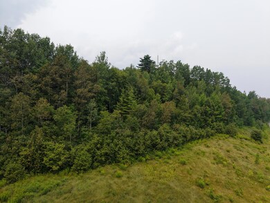 MPI8 L4-1 15 Industrial Park Rd, Greenville, ME 04441 - photo 5