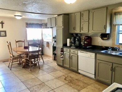 11552 N Bingham Ave, Bitely, MI 49309 - photo 7