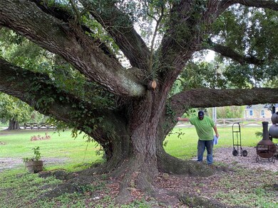14766 County Road 185, Alvin, TX 77511 - photo 4