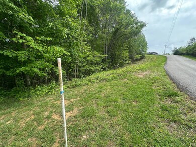 0 Davidson Rd, Burkesville, KY 42717 - photo 6