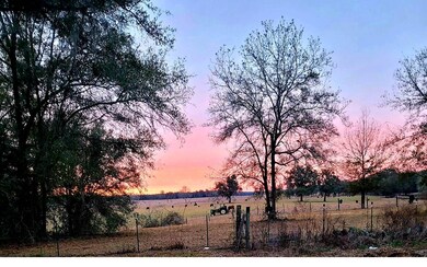 1295 High Field Terrace, Lake City, FL 32024 - photo 2