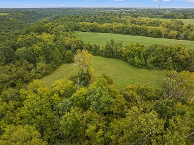 50_dji_0525