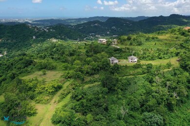 001 Carr 942, Gurabo, PR 00778 - photo 7