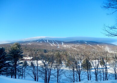 Lot 51 Partridge Rd, Ludlow, VT 05149 - photo 4