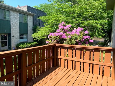 1049 Putnam Blvd unit 50, Wallingford, PA 19086 - photo 6