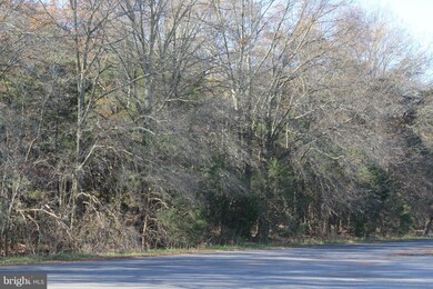 0 Oak Shade Rd unit 1002798916, Bealeton, VA 22712 - photo 4