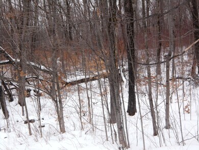 ACREAGE ON CUT RIVER ROAD