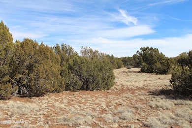 Jason Kempski SL Pines 6 (3)