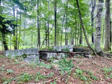 IMG_8499