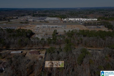 0 29th St N unit 21408163, Pell City, AL 35125 - photo 5