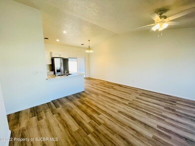 317 Valle Bonita Dr, Farmington, NM 87401 - photo 6