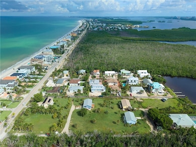 27553 Hickory View Dr, Bonita Springs, FL 34134 - photo 5