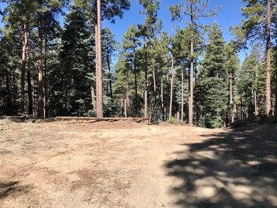 Easement area near back of lot