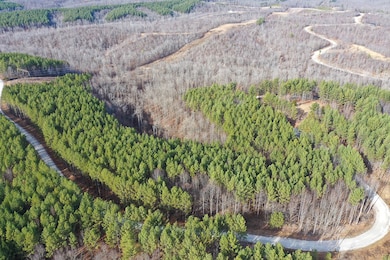 0 Bear Hollow Rd unit RTC2817202, Waverly, TN 37185 - photo 6