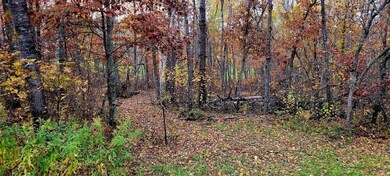 12 Suffolk Dr, Breezy Point, MN 56472 - photo 7