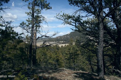 HillsideEdgeLookingSouthEast