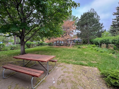 Patio/Yard